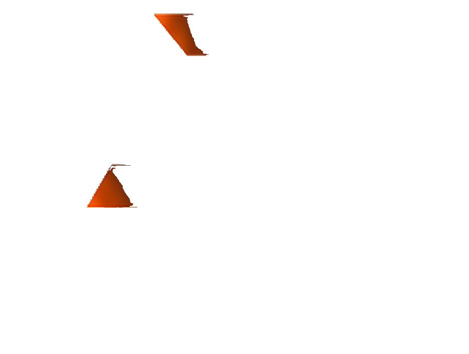 Academia Rojas